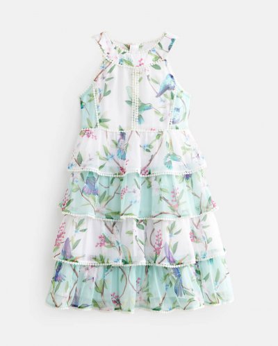 Loora Sleeveless Floral Tiered Chiffon Dress