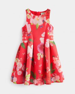 Bellsy Sleeveless Floral Pleated Mesh Dress