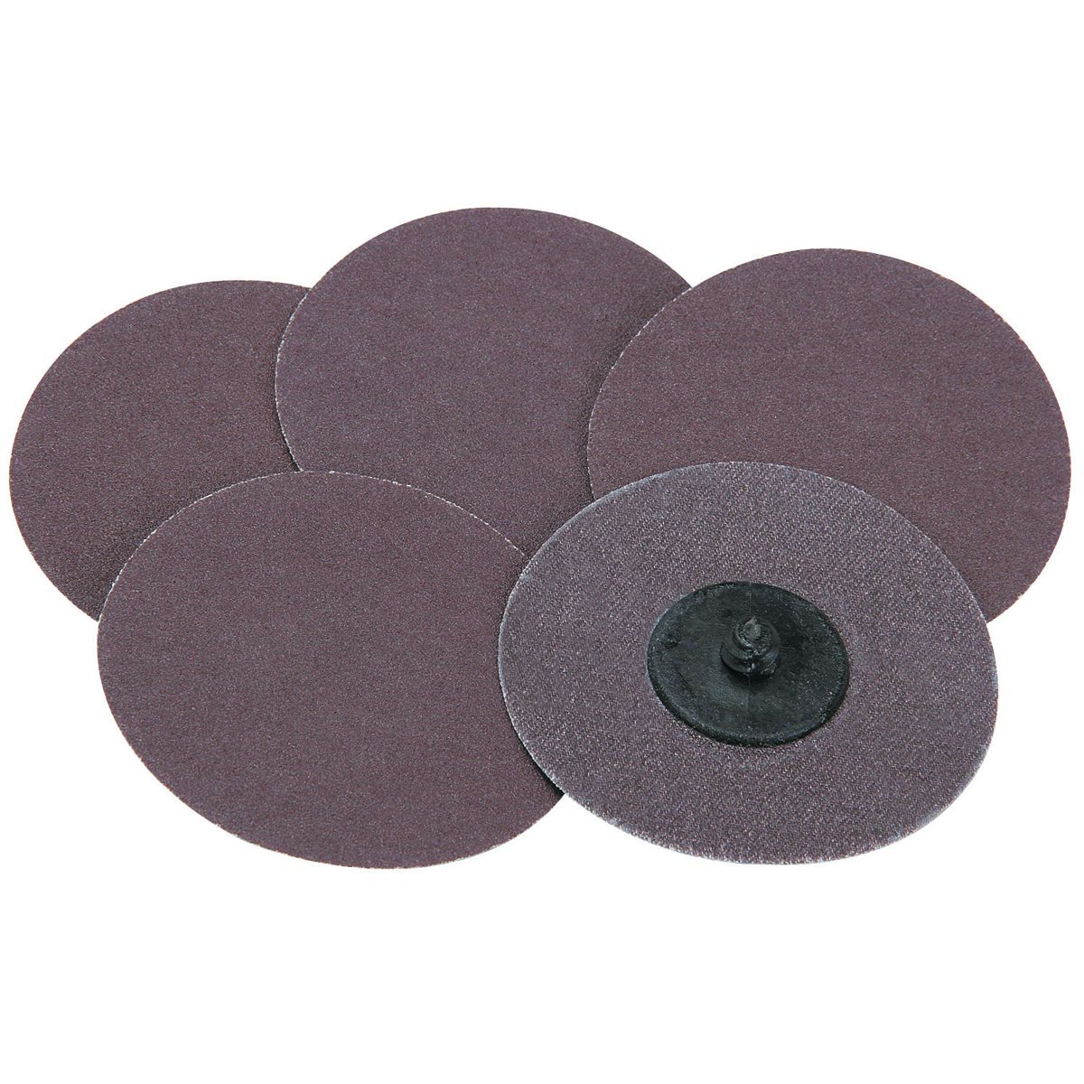 WARRIOR 3 in. 40 Grit Twist-Lock Abrasive Discs, 5 Pack