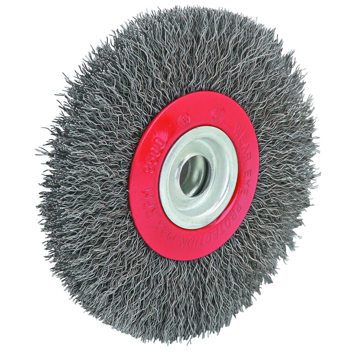 WARRIOR 5 in. Crimped Wire Wheel